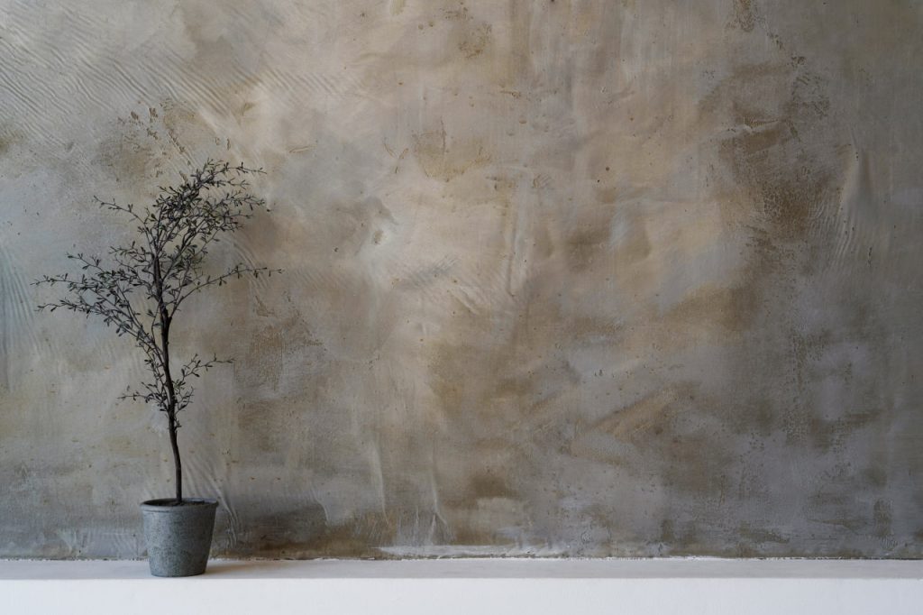 plant and stucco wall background for zoom calls