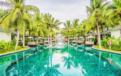 Landscape Design: Your Dream Landscape, Step by Step